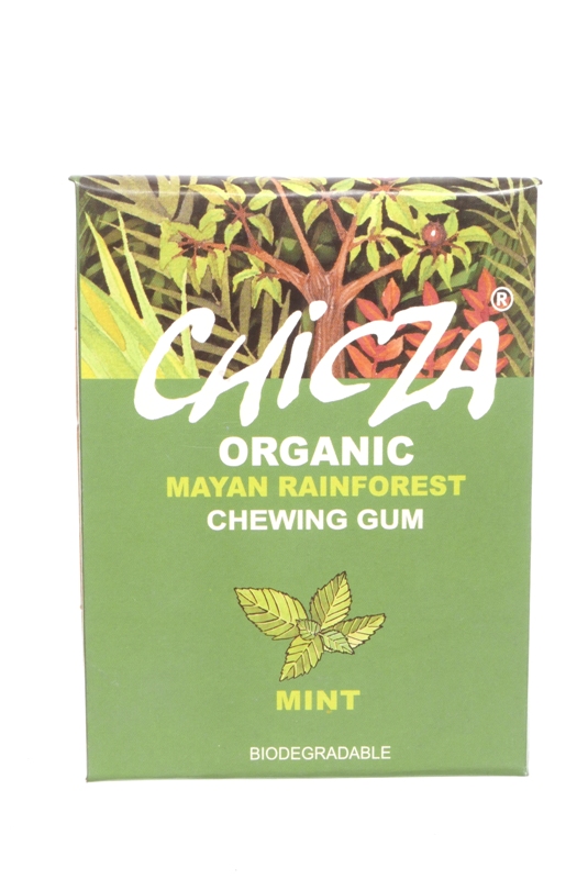 Žvýkačky Mint 30g