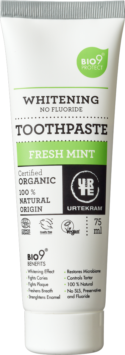 Zubní pasta Máta 75ml