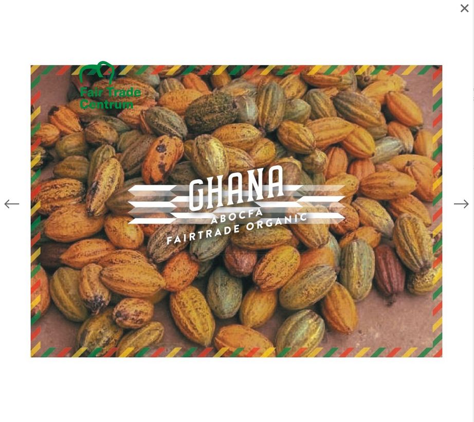 Kakaové boby celé nepražené 100g BIO